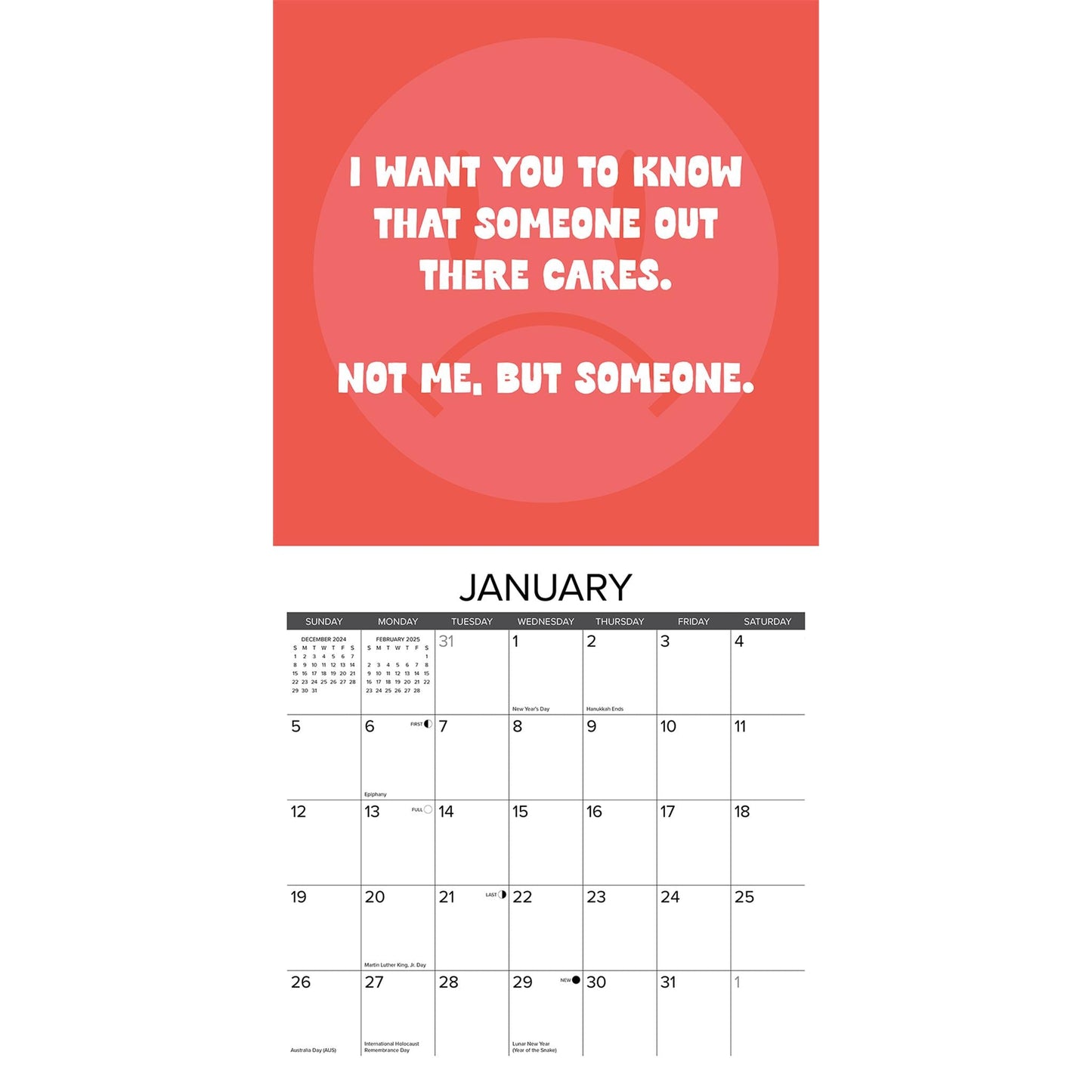 You Dont Got This Wall 2025 Calendar