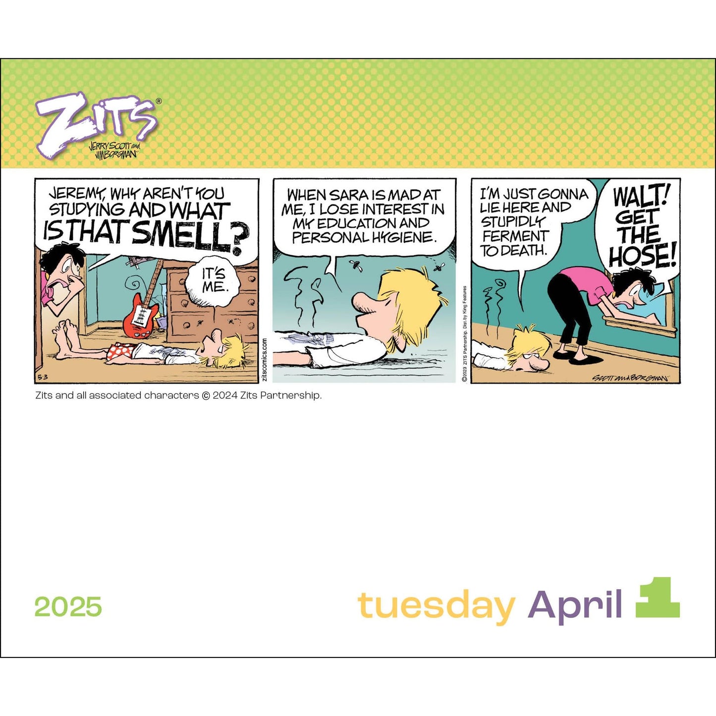 Zits Box 2025 Calendar
